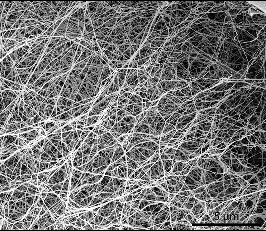 Bacterial Cellulose